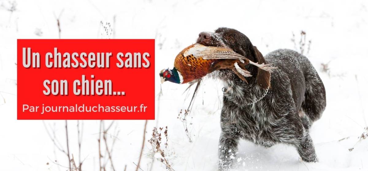 Un chasseur chassant sans son&nbsp;chien…