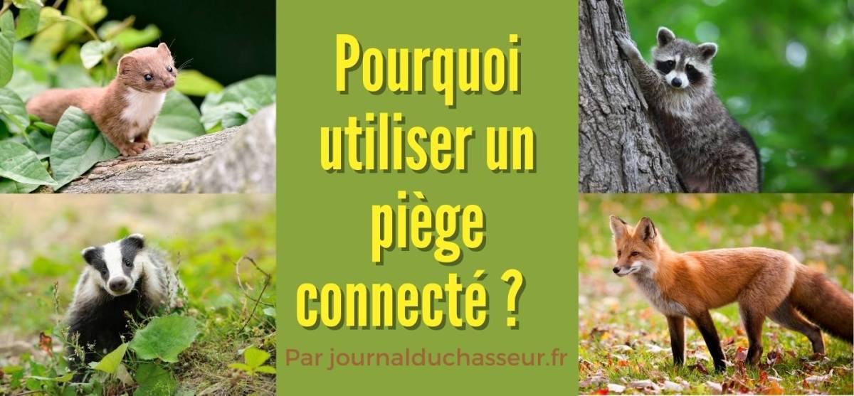 Pourquoi utiliser un piège connecté&nbsp;?