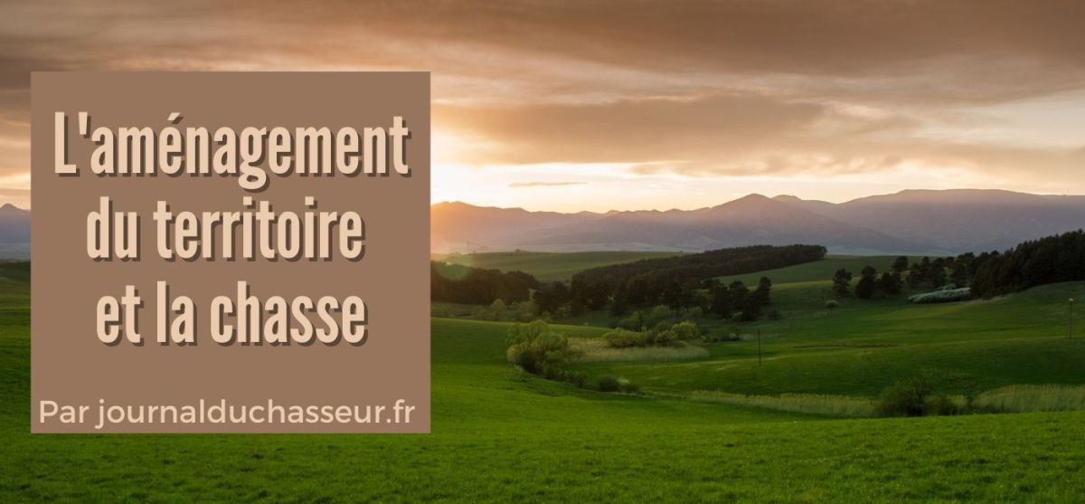 La chasse et l’aménagement du&nbsp;territoire