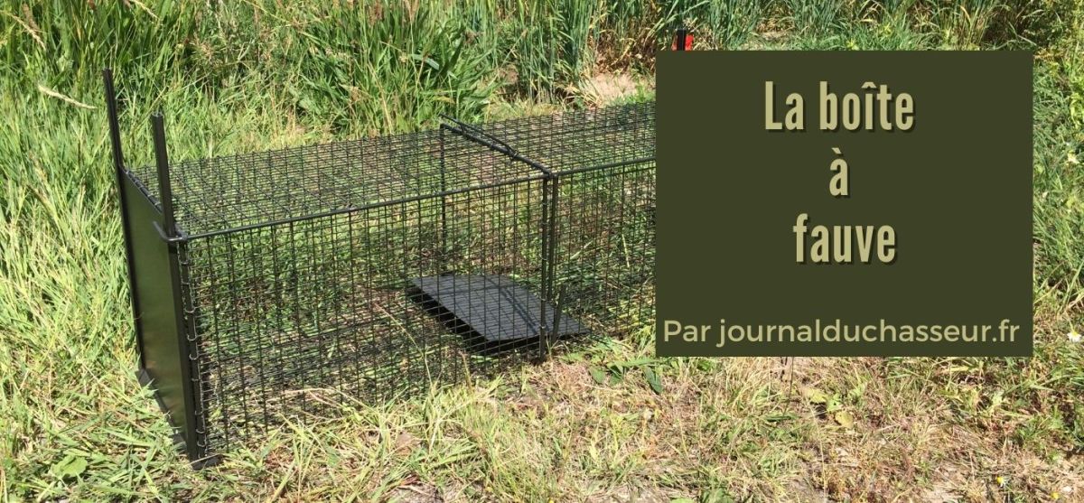 La boite a&nbsp;fauve