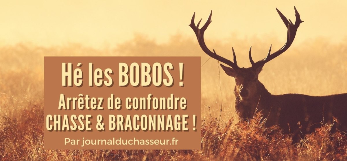 Hé les BOBOS ! Arrêtez de confondre CHASSE & BRACONNAGE&nbsp;!!