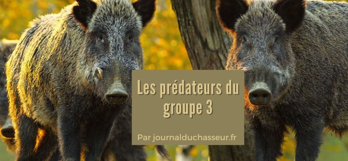 Les prédateurs du groupe&nbsp;3