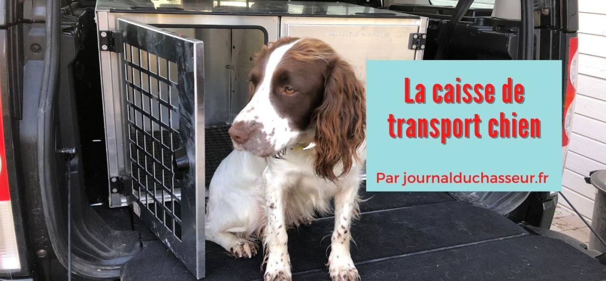 La caisse de transport&nbsp;chien