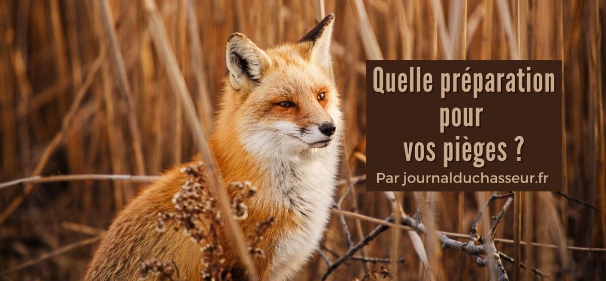 Quelle préparation pour vos pièges&nbsp;?