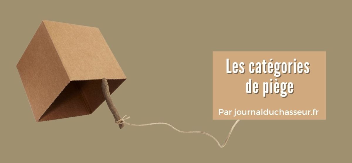 Les catégories de&nbsp;piège