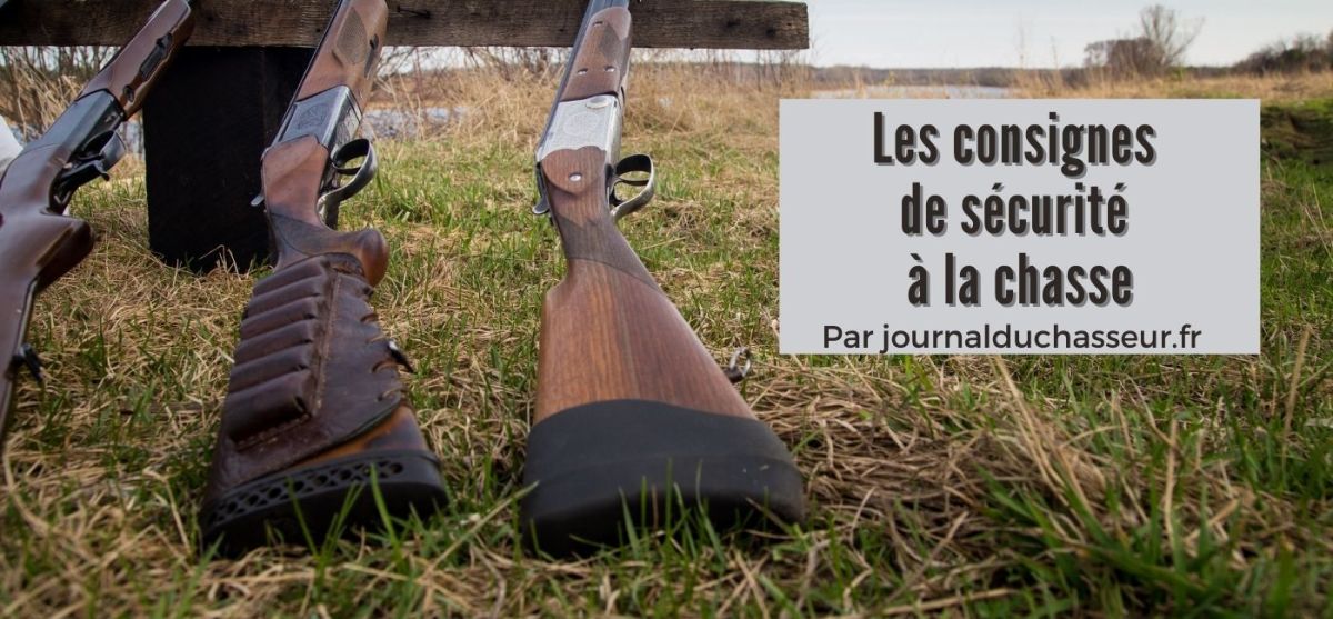 Les consignes de sécurité à la&nbsp;chasse