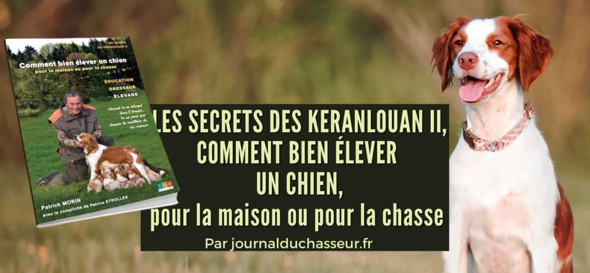 Les secrets des Keranlouan II, un livre de Patrick&nbsp;Morin